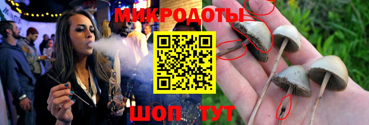 Псилоцибиновые грибы GOLDEN TEACHER Сосновоборск